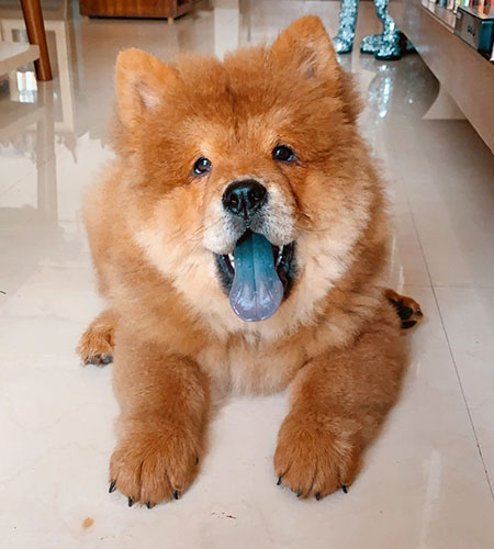 Pebbles